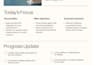 do professional mis executive and excel work